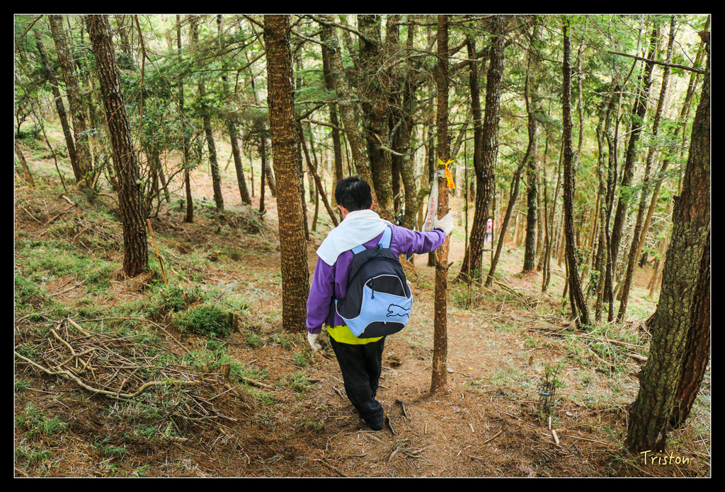 IMG_8822.jpg - 20151017 郡大林道、望鄉山、郡大山