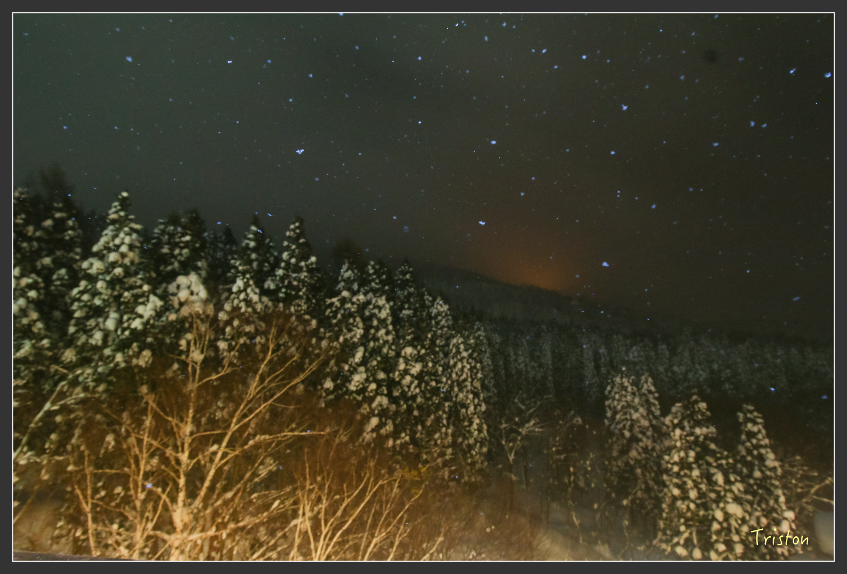 2016ZAO-01028.jpg - 20160131 日本藏王溫泉滑雪親子行