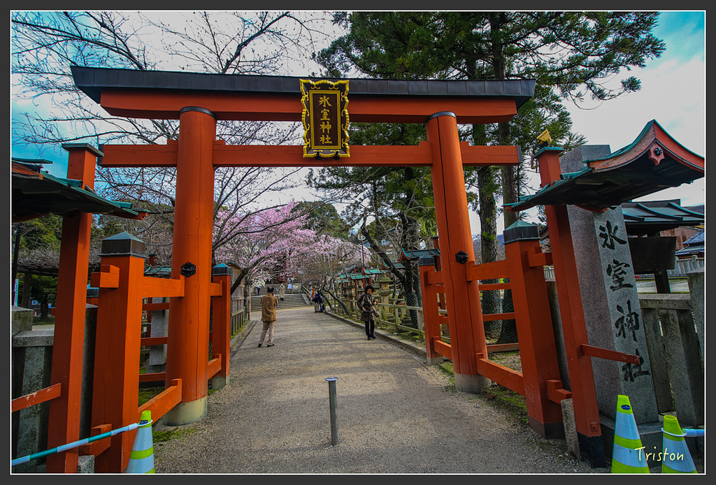 IMG_4294.jpg - 20160323 日本熊野古道健行