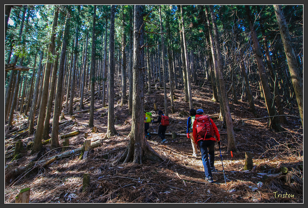 IMG_4727.jpg - 20160323 日本熊野古道健行