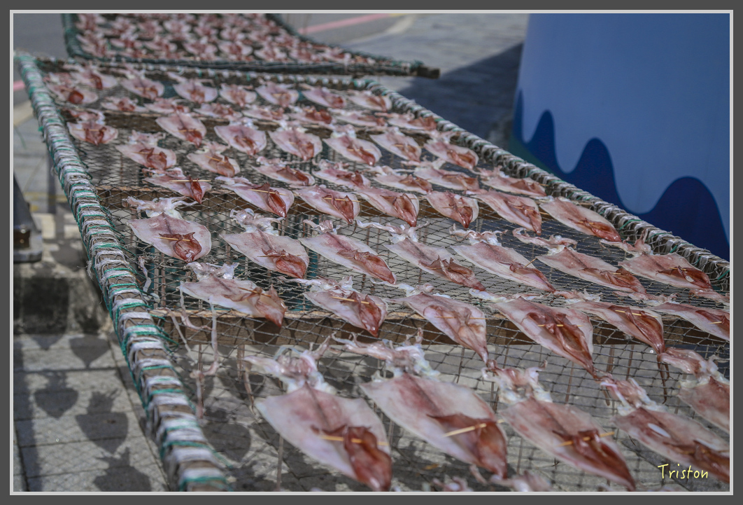 JH1A1098.jpg - 20160701 澎湖