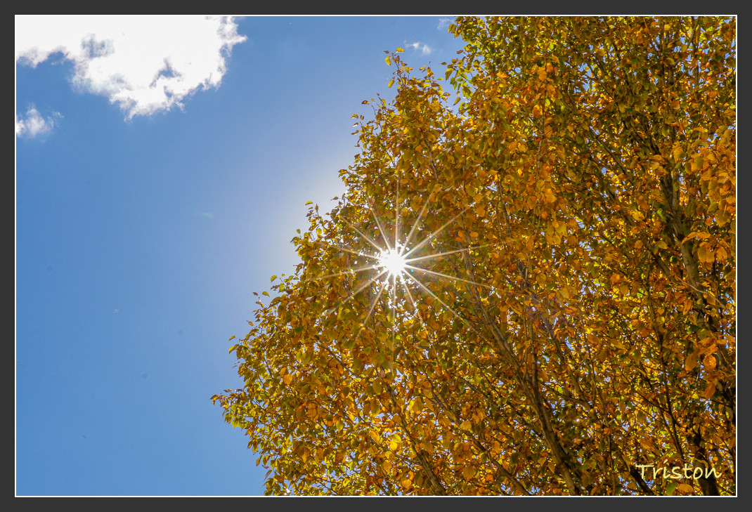 _MG_1519.jpg - 20161013 稻城亞丁