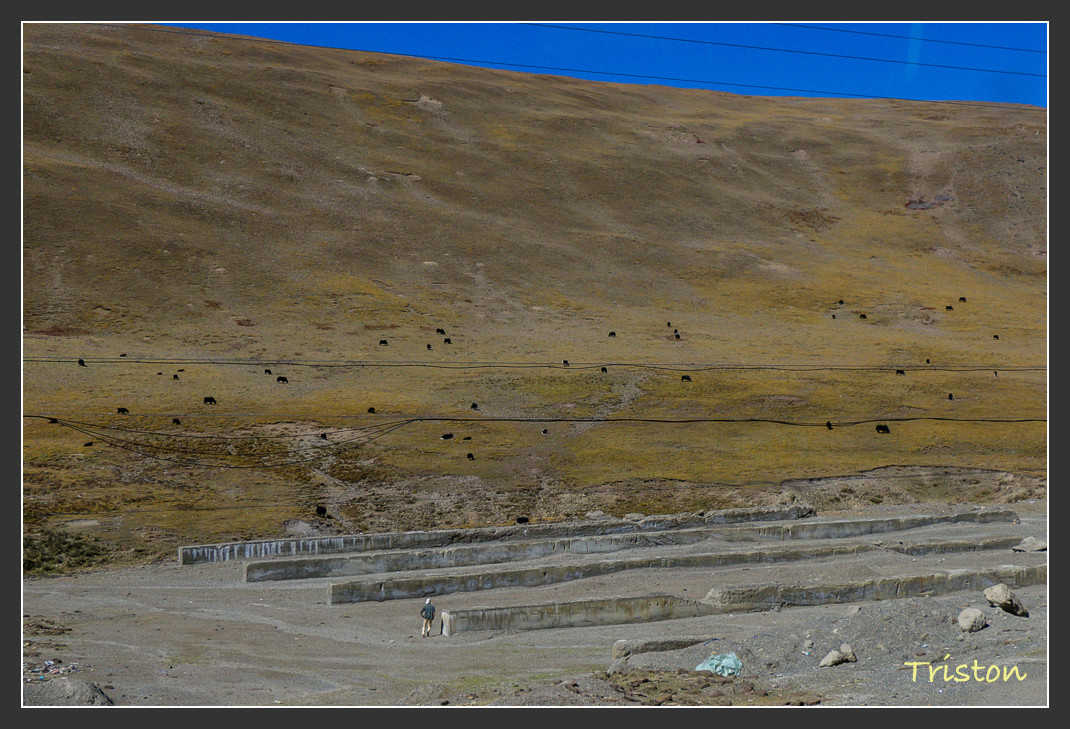 _MG_2495.jpg - 20161013 稻城亞丁