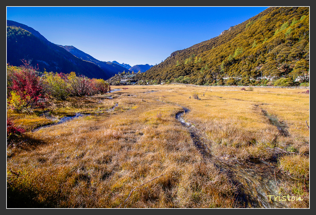 _MG_1961.jpg - 20161013 稻城亞丁