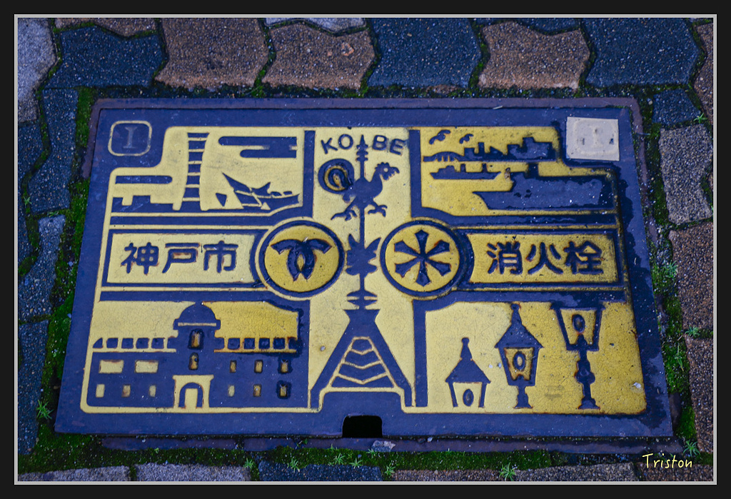 Canon-94.jpg - 20170120 大阪神戶親子遊