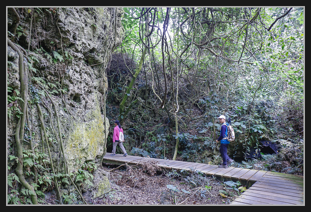 _MG_0049.jpg - 20170205 柴山盤榕雅座路線
