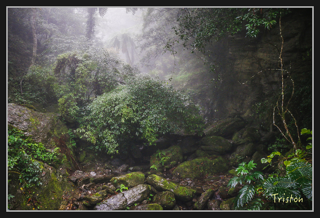 2017-02-27 10.03.53 下午 _MG_0205.jpg - 20170225 玉里瓦拉米