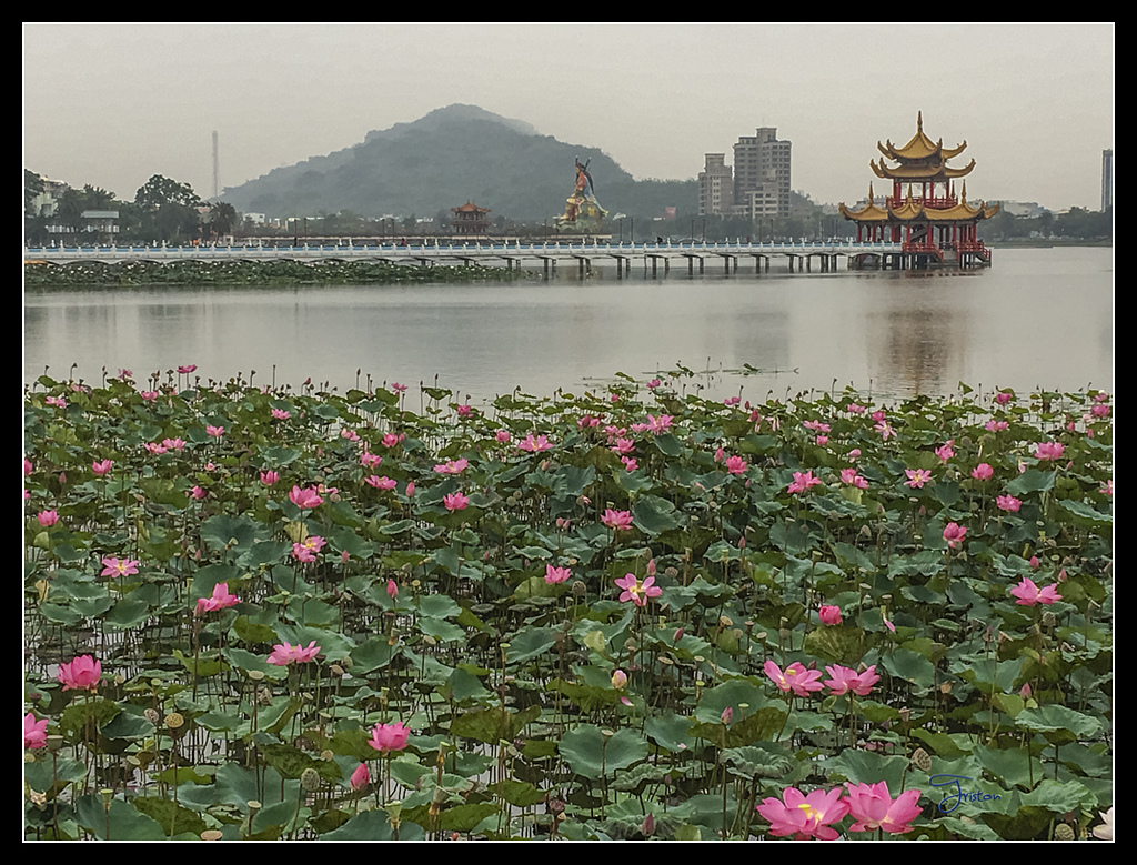 IMG_2884.jpg - 20170422 左營龜山步道、舊城