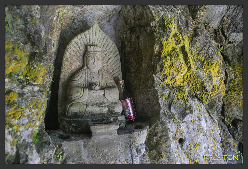 _H1A6398.jpg - 20170901 戀戀台九線