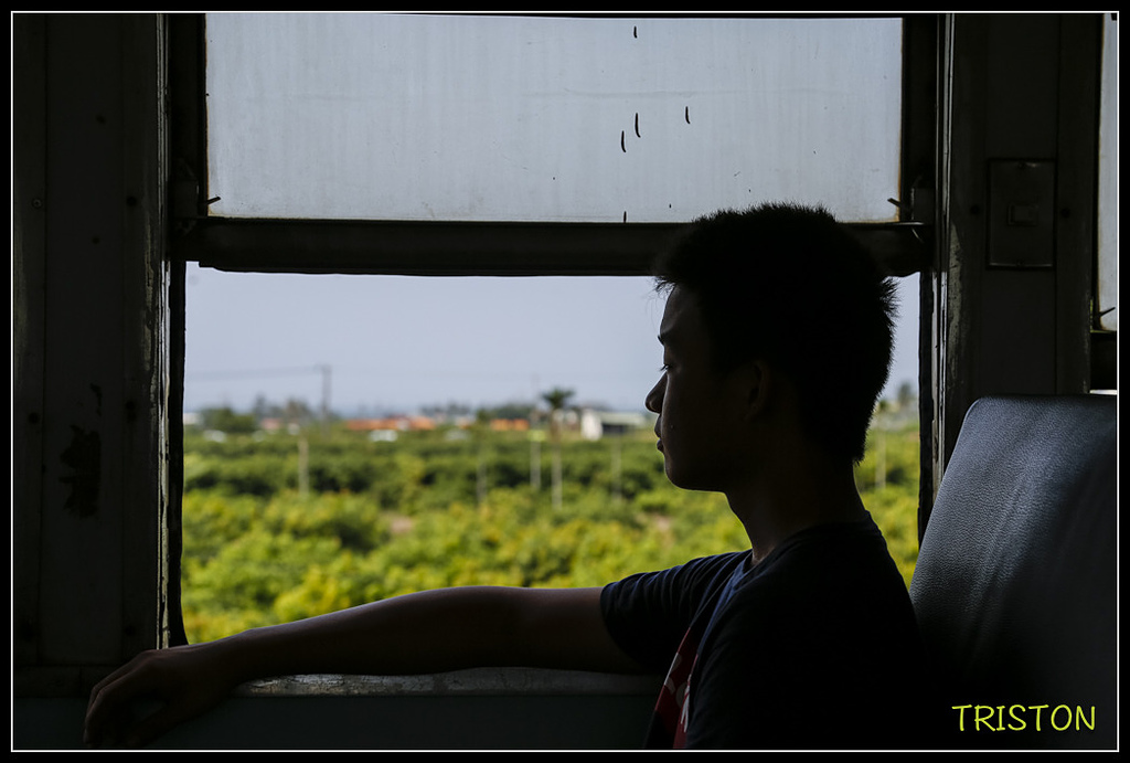 _H1A8125.jpg - 20171004 3671次藍皮普通車+鎮安車站