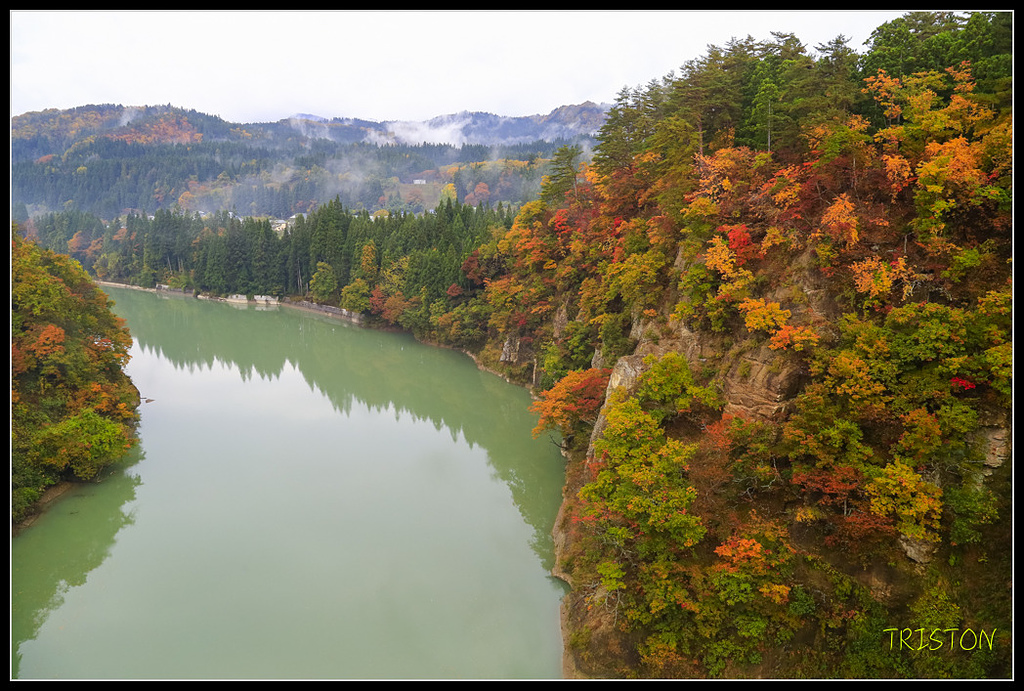 _H1A0399.jpg - 20171103 日本只見線、會津若松五色沼、昭和記念公園賞紅葉