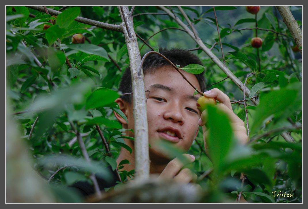 _MG_8817.jpg - 20160622 圓潭、雲潭、水社寮車站