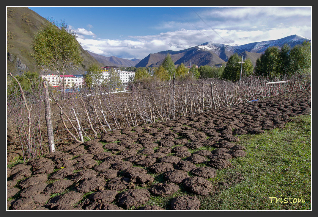 _MG_1334.jpg - 20161013 稻城亞丁