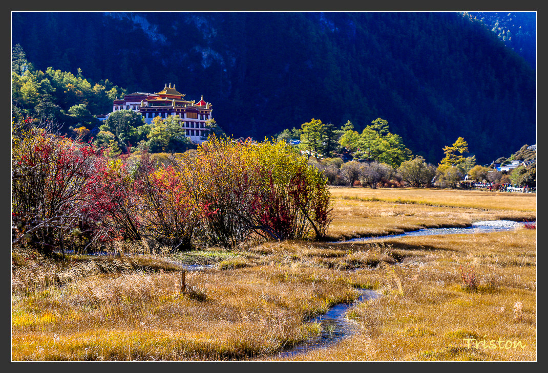 _MG_1958.jpg - 20161013 稻城亞丁