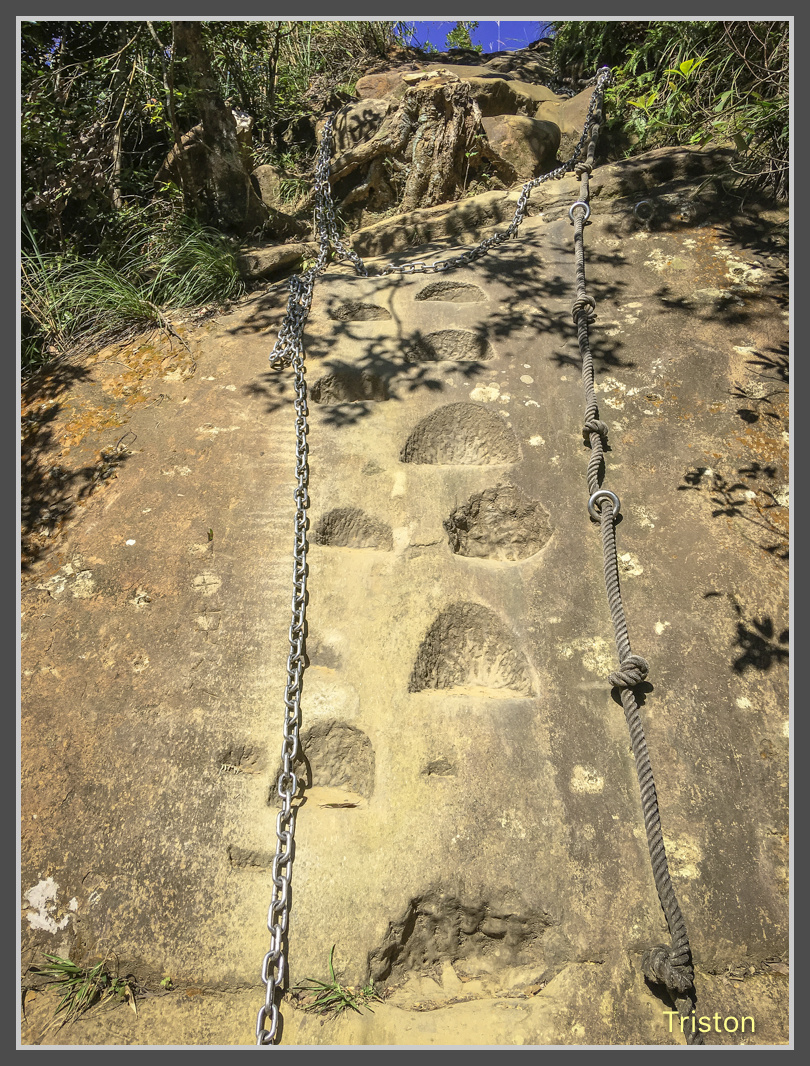 IMG_9382.jpg - 201161113 皇帝殿東西峰