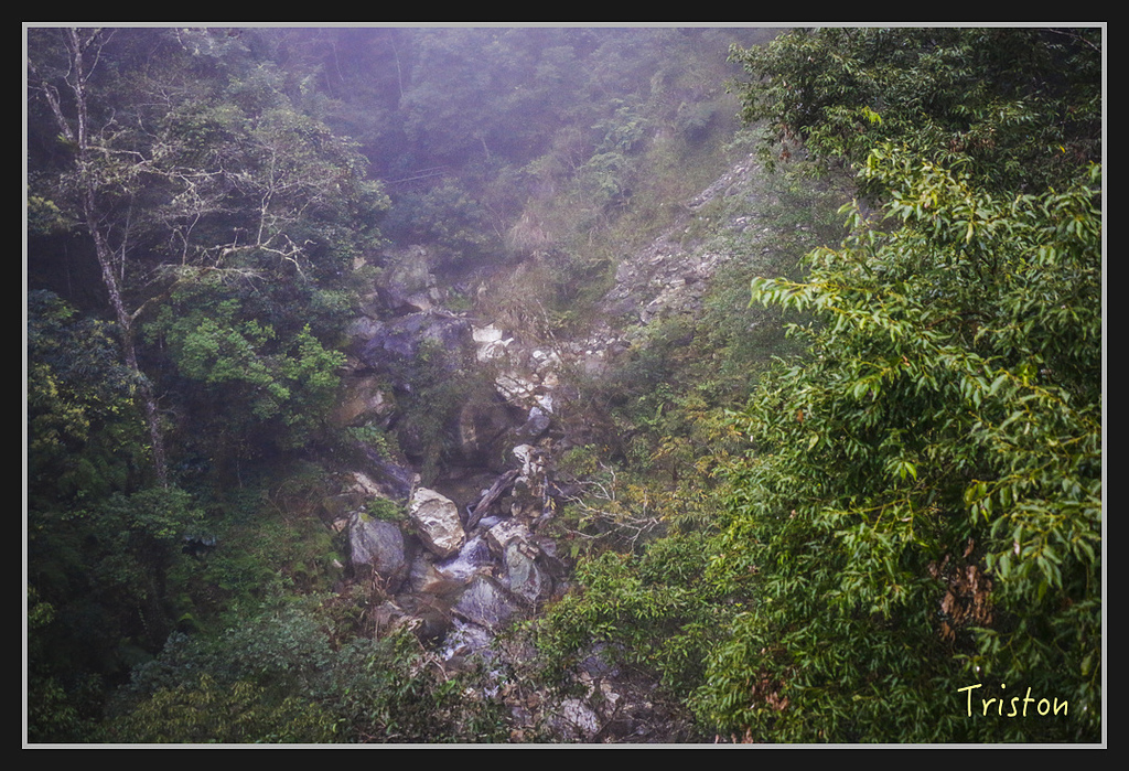 2017-02-27 10.03.53 下午 _MG_0353.jpg - 20170225 玉里瓦拉米