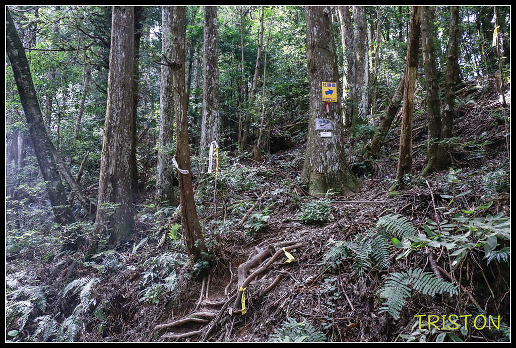 _MG_0039.jpg - 20170920 加里山
