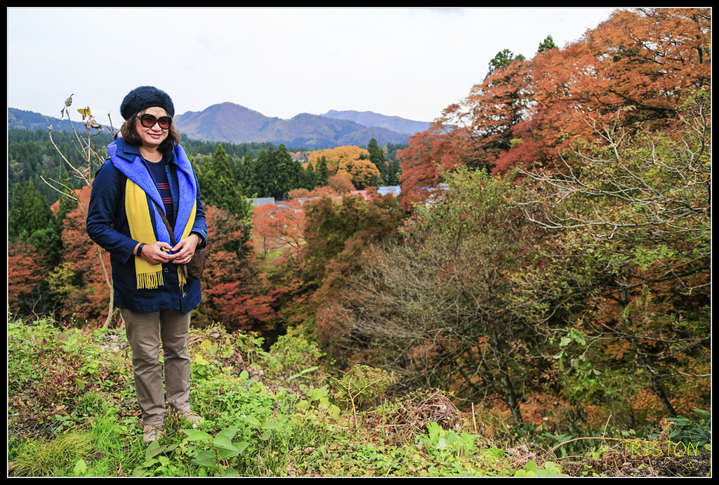 _H1A0630.jpg - 20171103 日本只見線、會津若松五色沼、昭和記念公園賞紅葉