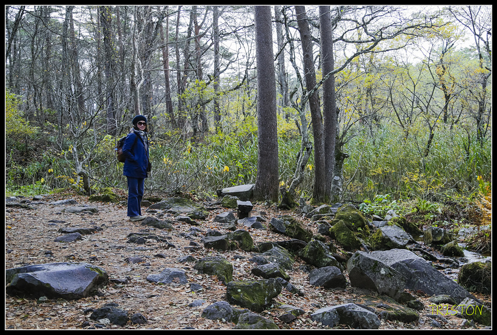 _H1A1244.jpg - 20171103 日本只見線、會津若松五色沼、昭和記念公園賞紅葉