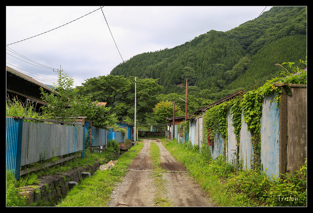 JH1A9889.jpg - 20150628 東京輕井澤日光
