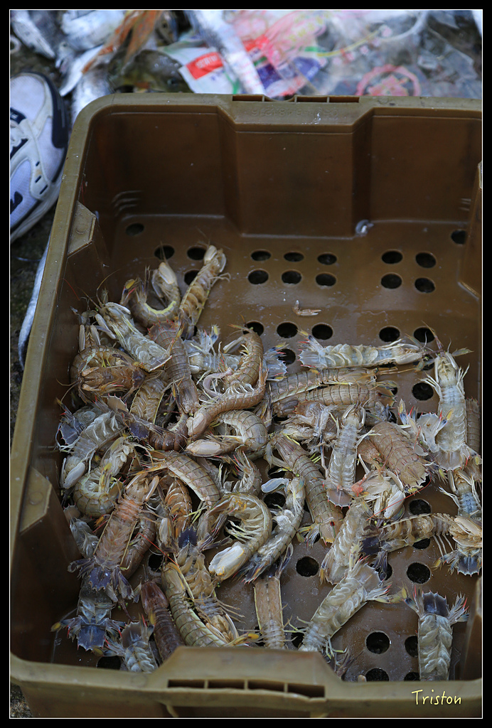 JH1A8919.jpg - 20150814 馬祖之旅