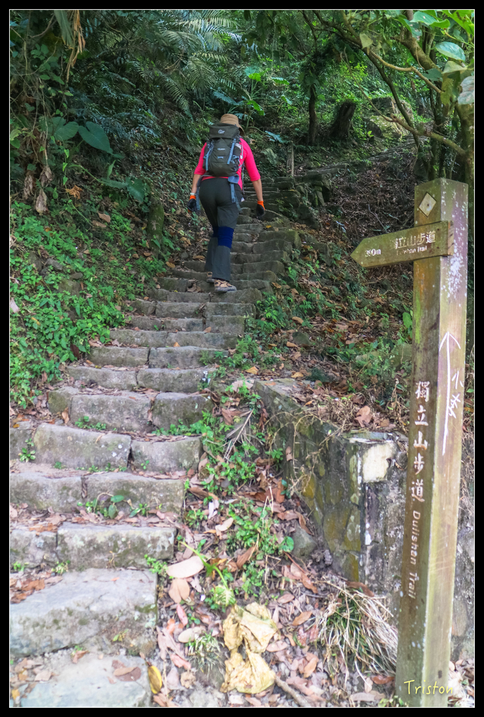 IMG_0717.jpg - 20151115 獨立山步道