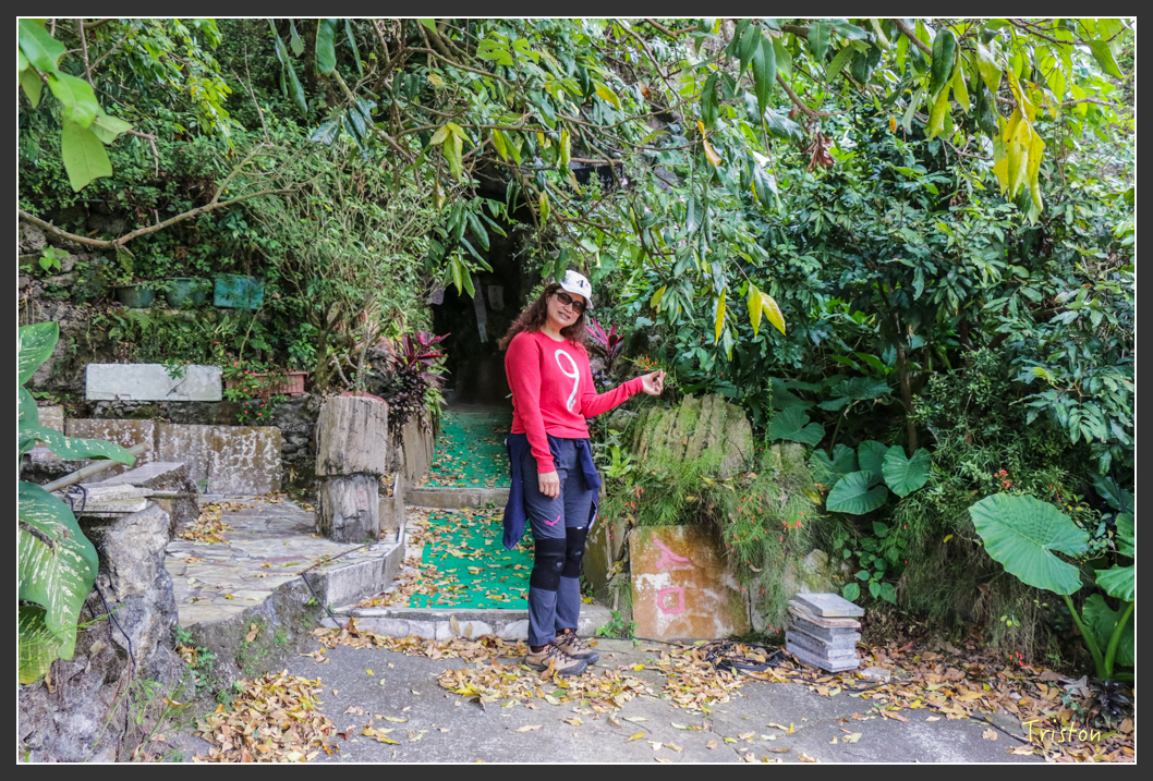 IMG_3215.jpg - 20160220 小崗山健行步道