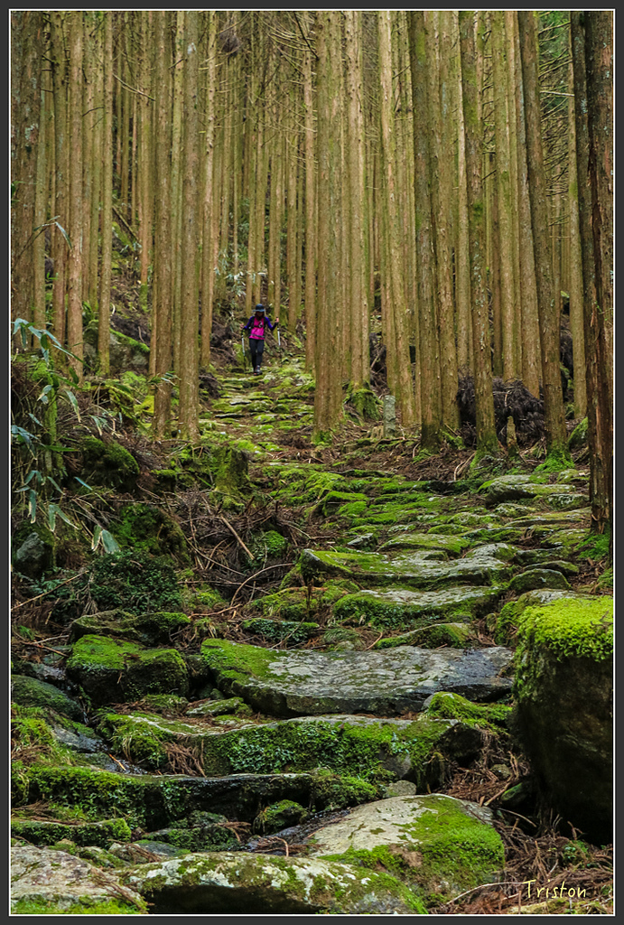 IMG_5505.jpg - 20160323 日本熊野古道健行