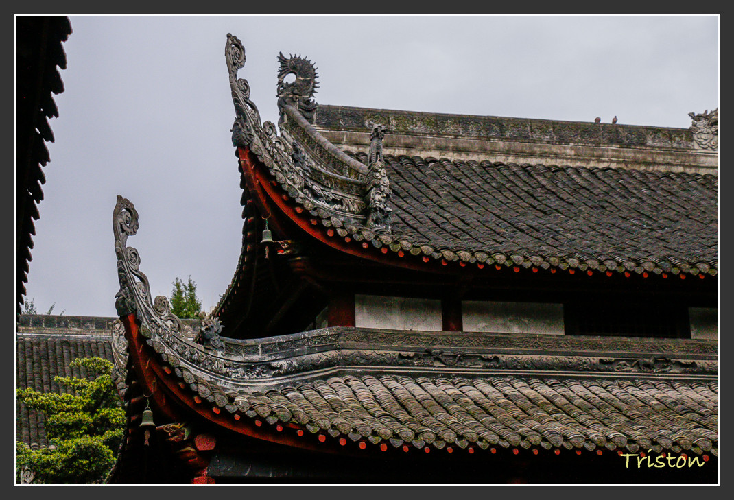 _MG_2848.jpg - 20161013 稻城亞丁