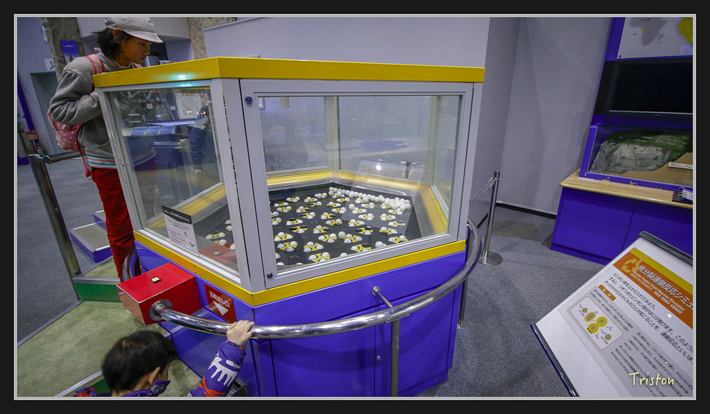 Canon-558.jpg - 20170120 大阪神戶親子遊 