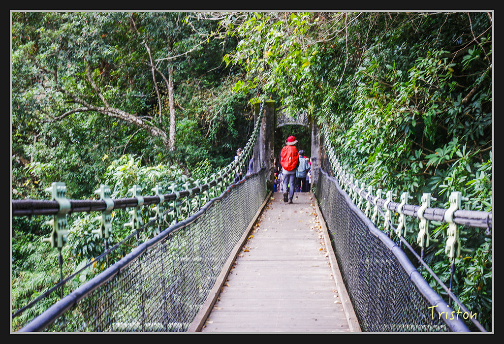 2017-02-27 10.03.53 下午 _MG_0515.jpg - 20170225 玉里瓦拉米