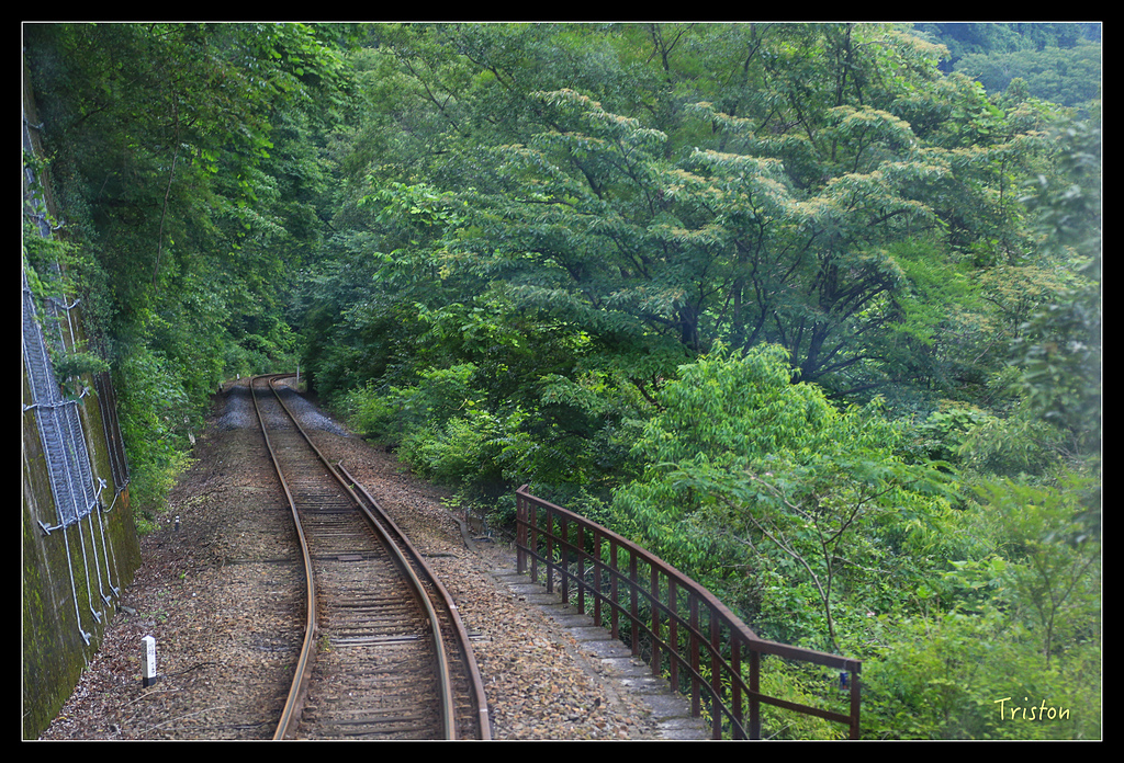 JH1A9704.jpg - 20150628 東京輕井澤日光