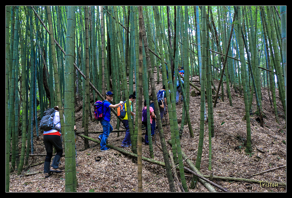 IMG_8297.jpg - 20150926 大凍山切霹靂山 抵龍雲山莊