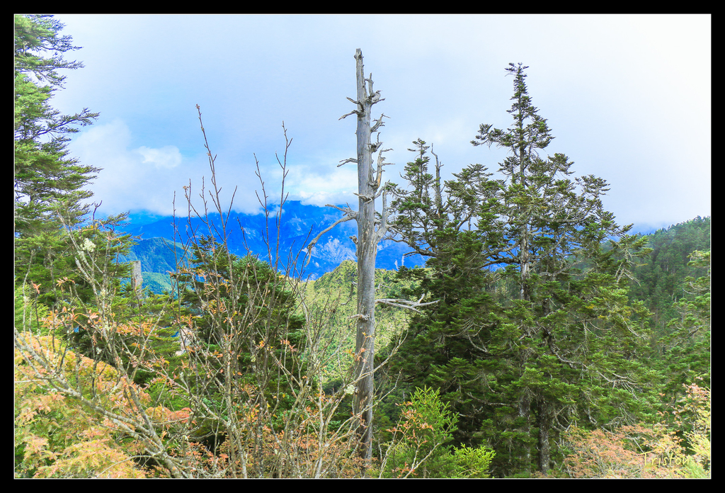 IMG_8637.jpg - 20151017 郡大林道、望鄉山、郡大山