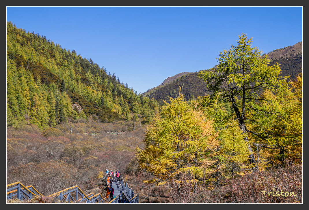 _MG_2106.jpg - 20161013 稻城亞丁