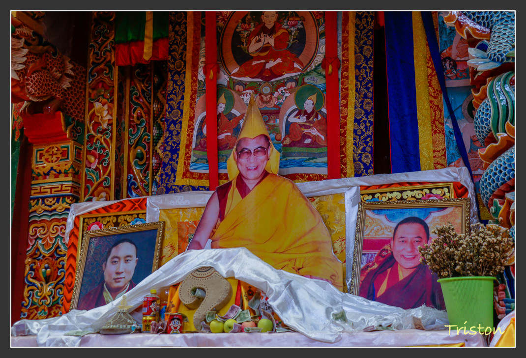 _MG_1500.jpg - 20161013 稻城亞丁