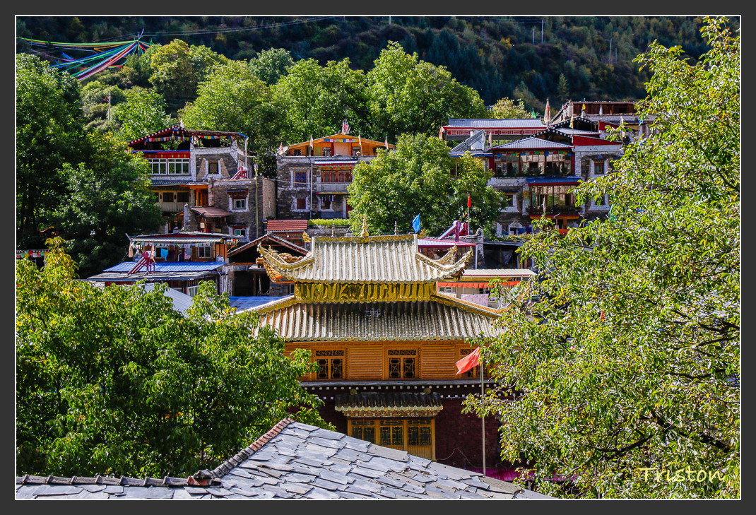 _MG_0308.jpg - 20161013 稻城亞丁