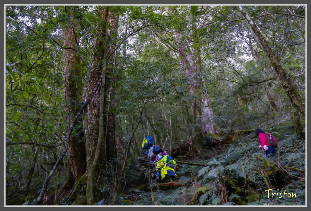 _MG_0154.jpg - 20161203 鎮西堡