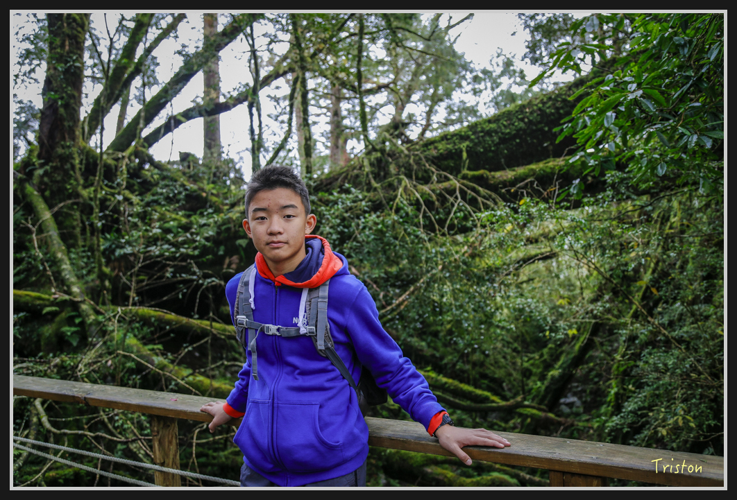 00119.jpg - 20161231 明池 神木園