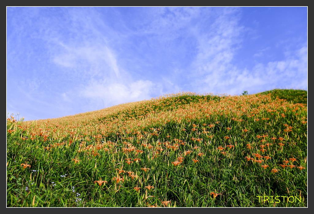 _H1A6627.jpg - 20170901 戀戀台九線