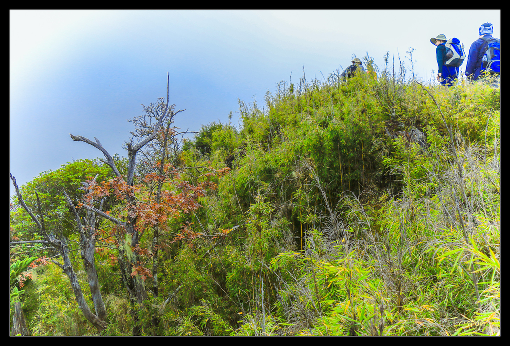 IMG_8639.jpg - 20151017 郡大林道、望鄉山、郡大山
