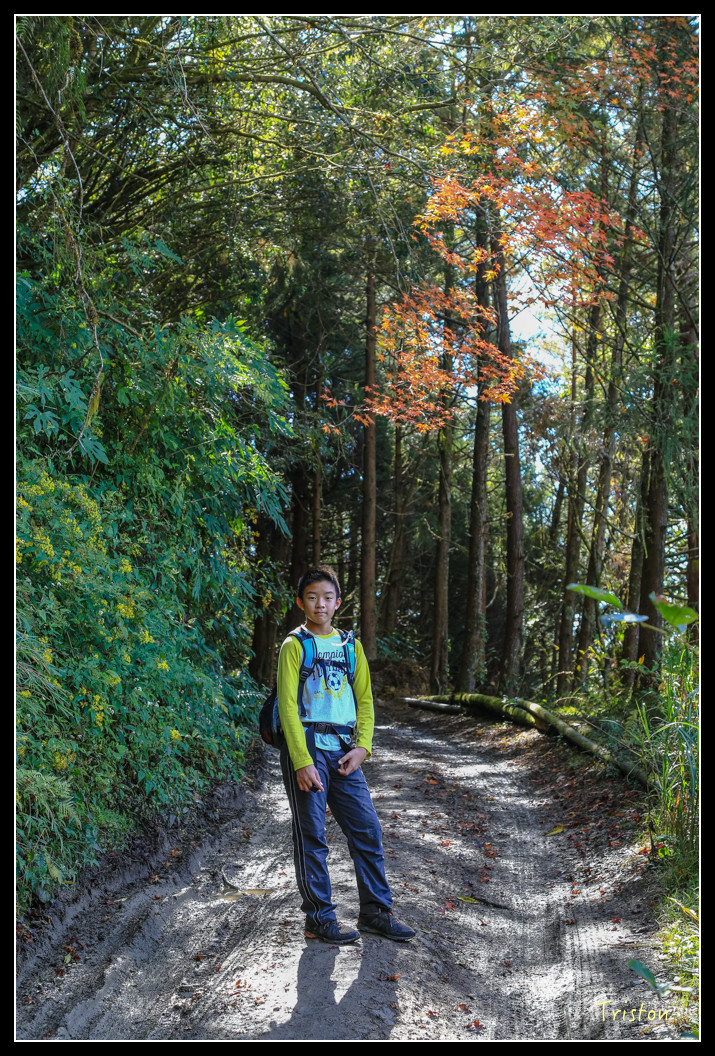 JH1A0634.jpg - 20151205 合歡溪步道、108K楓之谷