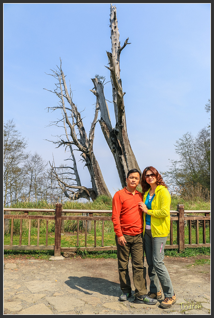 IMG_6211.jpg - 20160402 鹿林麟趾東埔山