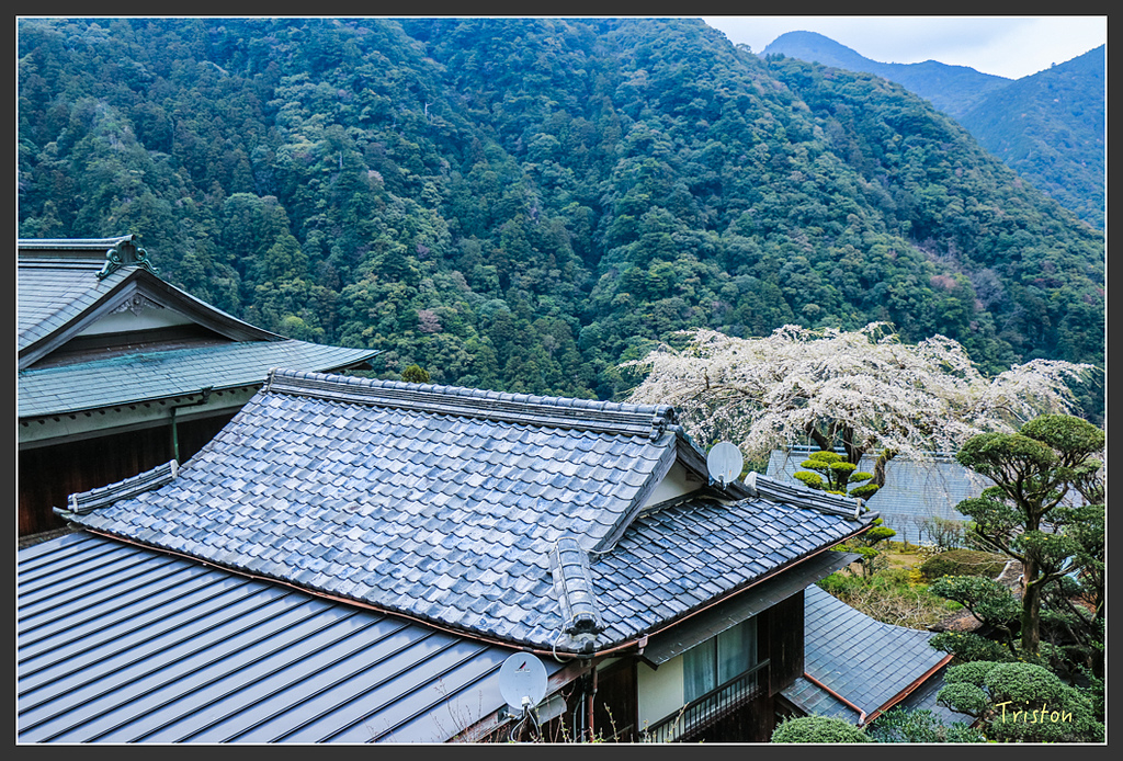 IMG_5629.jpg - 20160323 日本熊野古道健行