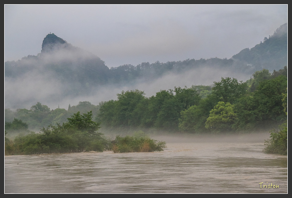 IMG_6515.jpg - 20160409 武夷山之旅