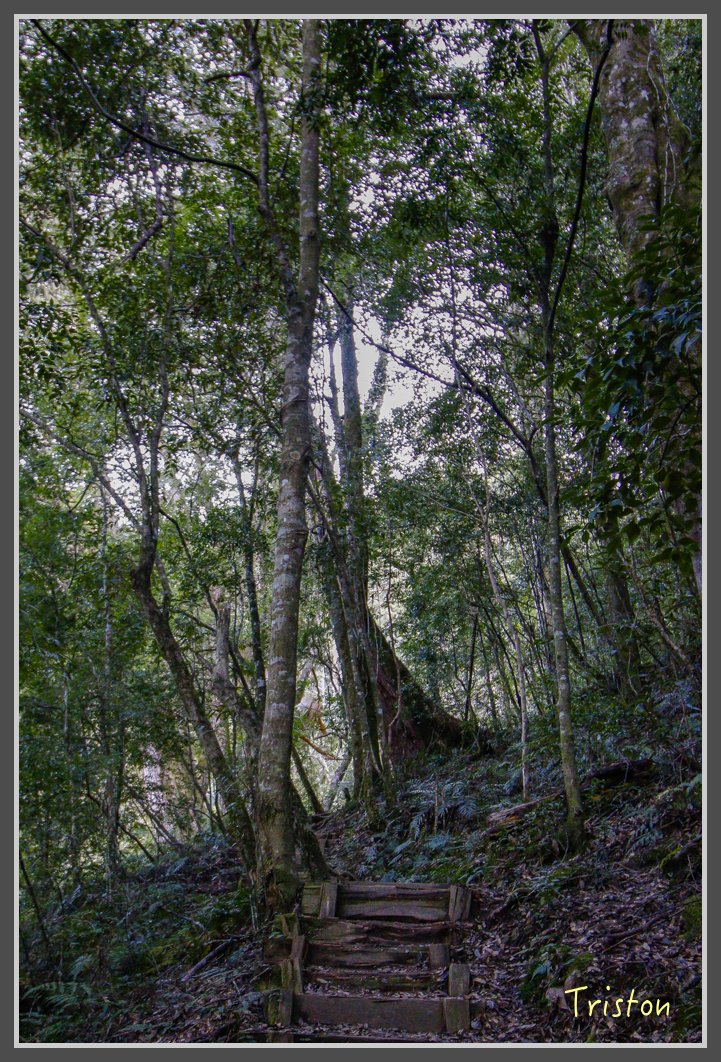 _MG_0184.jpg - 20161203 鎮西堡