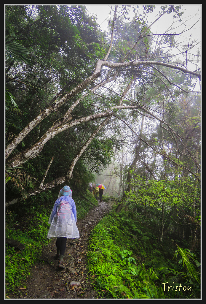 2017-02-27 10.04.56 下午 IMG_1253.jpg - 20170225 玉里瓦拉米