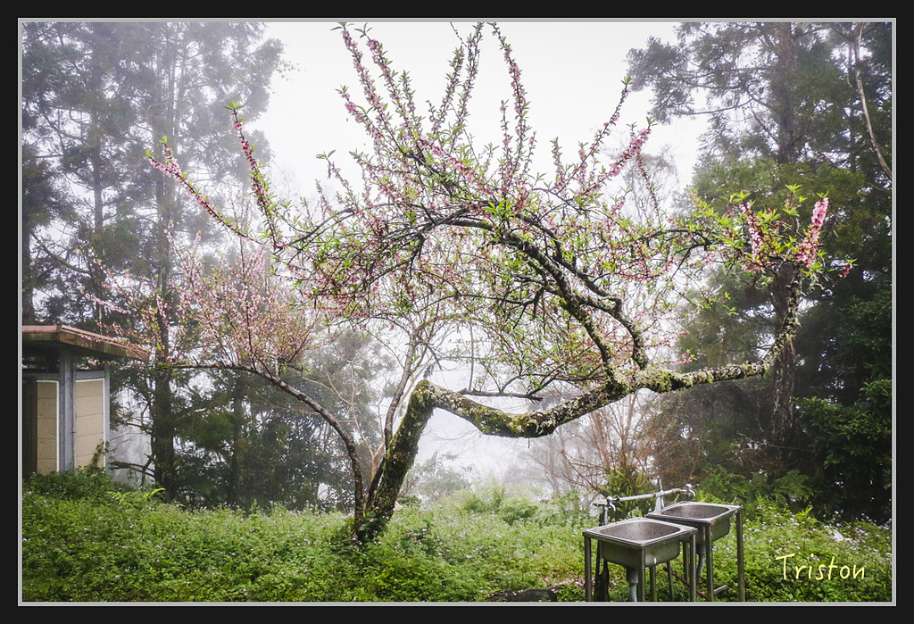 2017-02-27 10.03.53 下午 _MG_0400.jpg - 20170225 玉里瓦拉米
