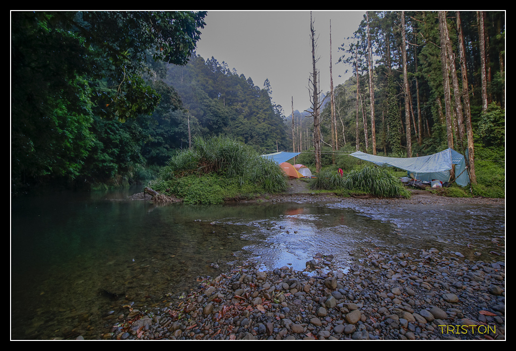 _MG_0164.jpg - 20170723 水漾森林