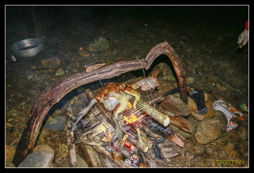 _MG_0201.jpg - 20170723 水漾森林